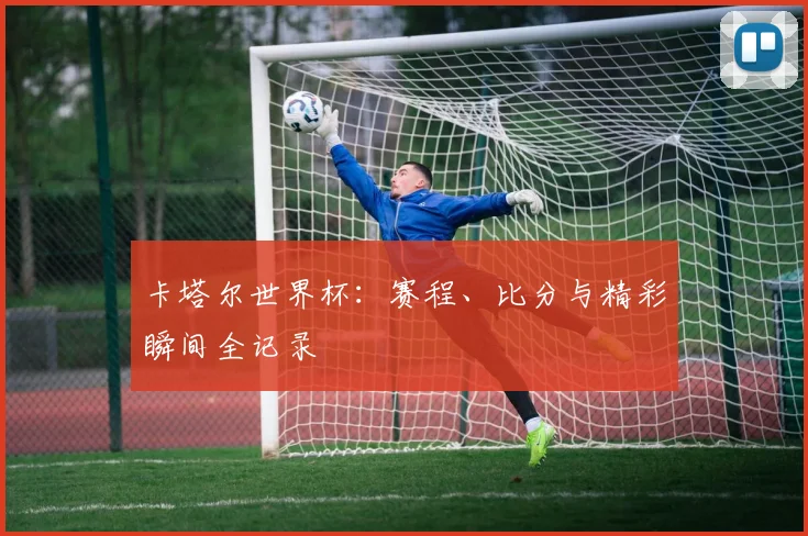 卡塔尔世界杯：赛程、比分与精彩瞬间全记录